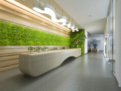 Designing Care Spaces: A Holistic Approach to Urban Revitalization