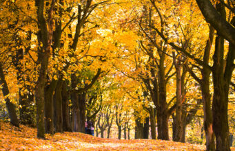 The October Outlook: Where Interior Designers Are Convening This Fall